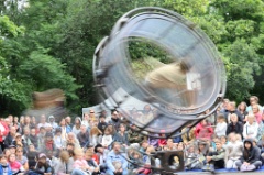 La roue giratoire 010 * 6000 x 4000 * (9.49MB)